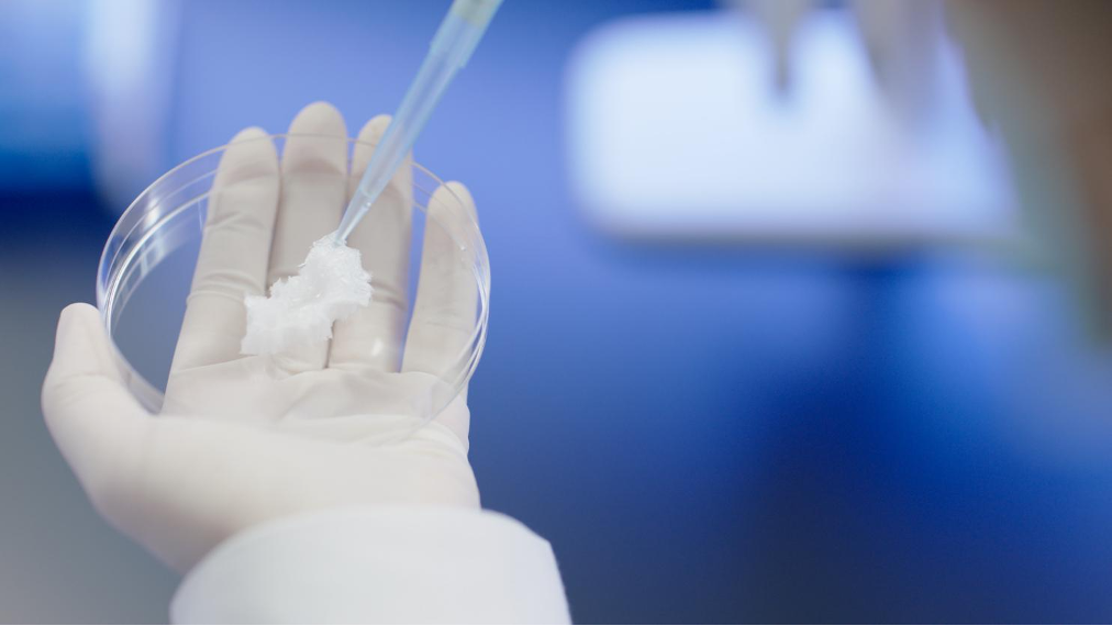 江苏尊龙凯时|生物医药|重组胶原蛋白|unicollagen