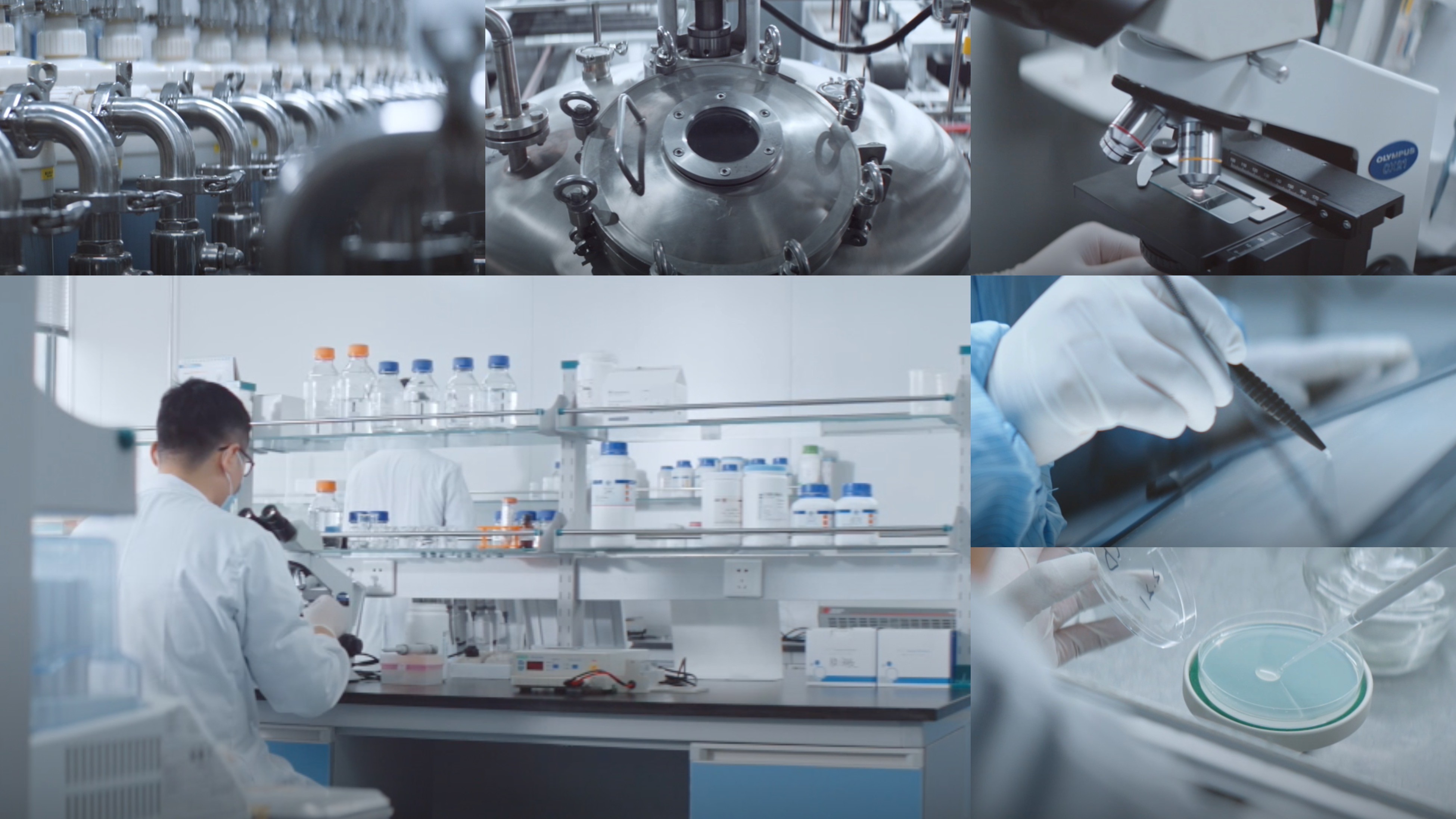 江苏尊龙凯时|生物医药|重组胶原蛋白|unicollagen