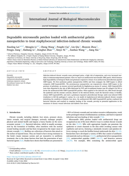 2022 动物研究，重组胶原微针，用于慢性伤口