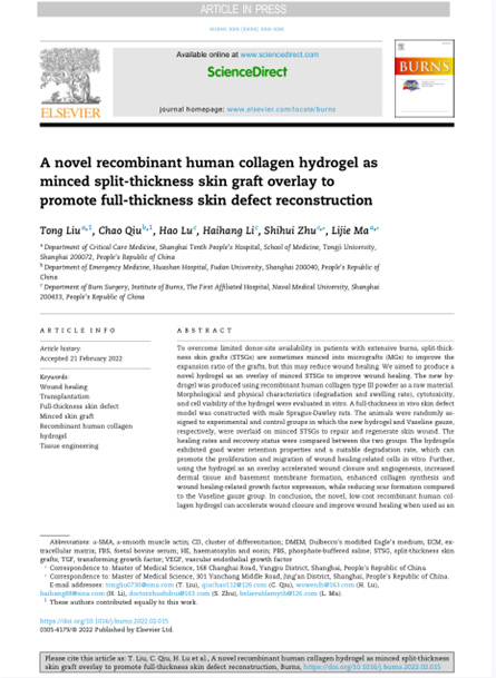 2022 动物研究，重组胶原用于微粒皮移植覆盖
