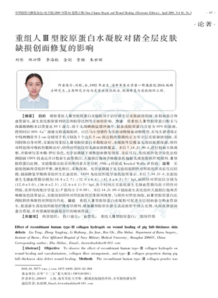 2019 动物研究，重组人Ⅲ型胶原蛋白水凝胶对猪全层皮肤缺损创面修复的影响